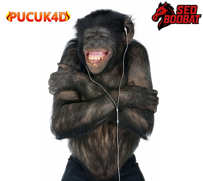 PUCUK4D # Trending Pusat Game Toto 4D Terpercaya Pakai Jalur Link Slot Online Terlengkap Modal 10 Ribu Saja - WooCommerce eCommerce